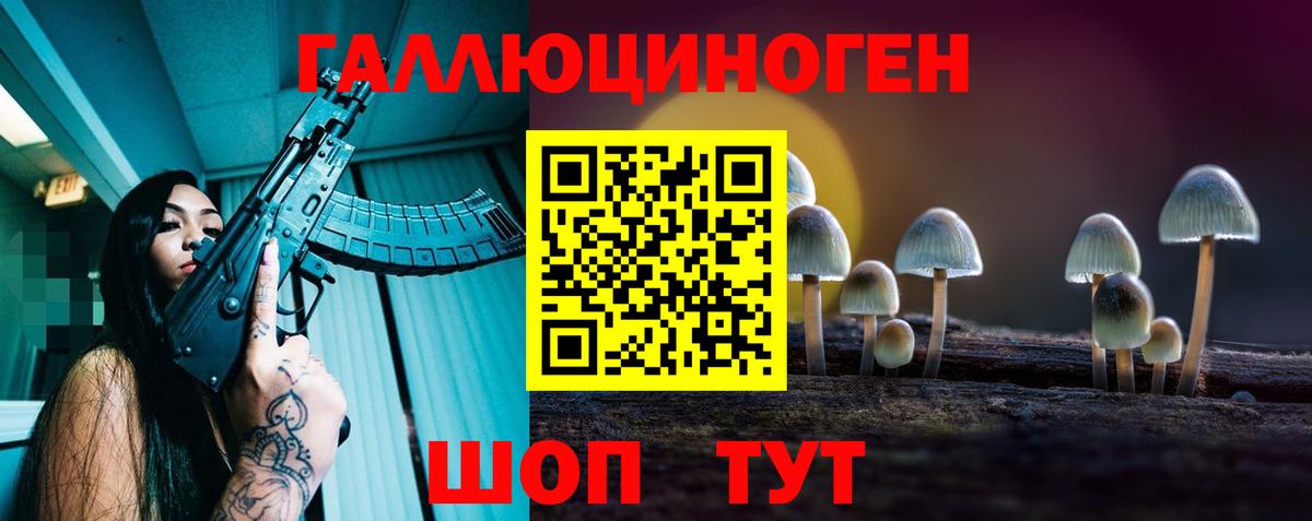 Псилоцибиновые грибы Cubensis  Псилоцибиновые грибы GOLDEN TEACHER  Медногорск  Вход с VPN 